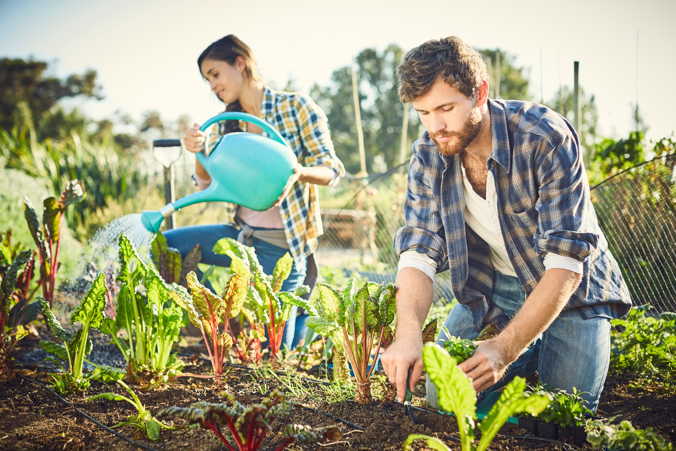 Friends gardening on in organic farm