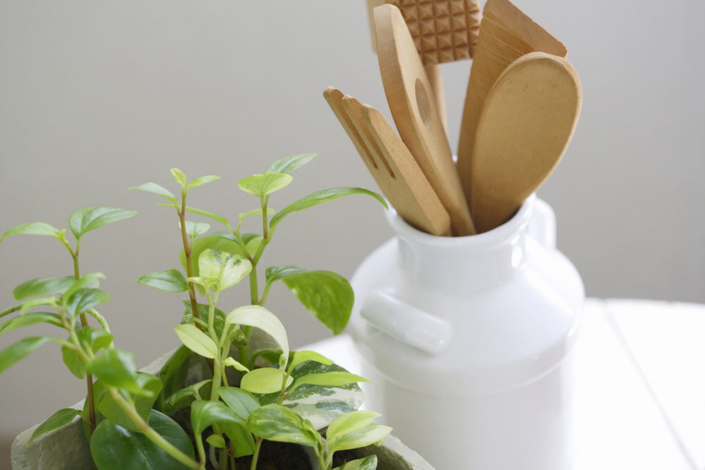 Kitchen gadgets, green